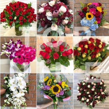 Desktop Gallery Entry 17