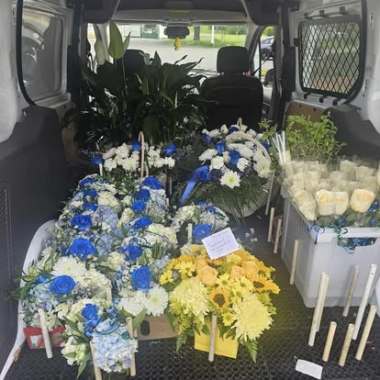 Desktop Gallery Entry 17