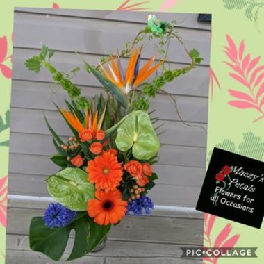 Desktop Gallery Entry 9