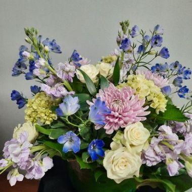 Desktop Gallery Entry 4