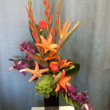 Desktop Gallery Entry 12