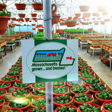 Desktop Gallery Entry 3