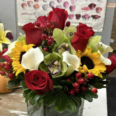 Desktop Gallery Entry 8