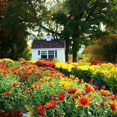 Desktop Gallery Entry 4