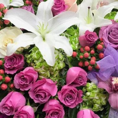 Desktop Gallery Entry 4