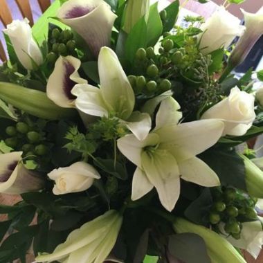 Desktop Gallery Entry 7