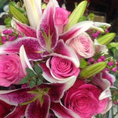 Desktop Gallery Entry 8