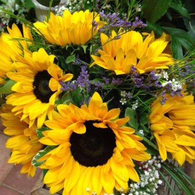 Desktop Gallery Entry 9