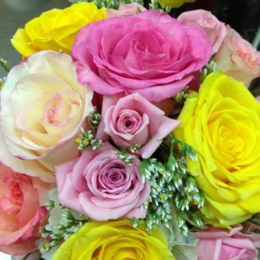 Desktop Gallery Entry 11