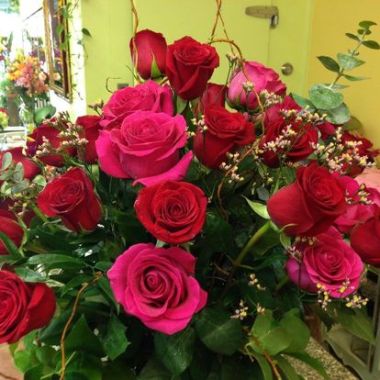 Desktop Gallery Entry 12