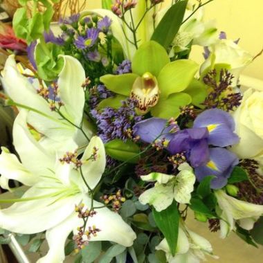 Desktop Gallery Entry 13