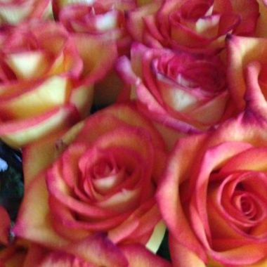 Desktop Gallery Entry 16