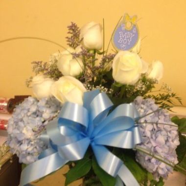 Desktop Gallery Entry 17