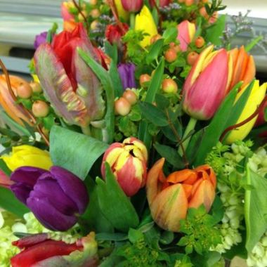 Desktop Gallery Entry 18