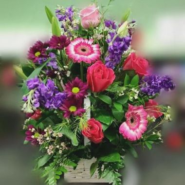 Desktop Gallery Entry 11