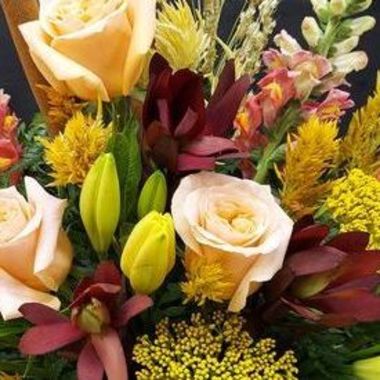 Desktop Gallery Entry 7