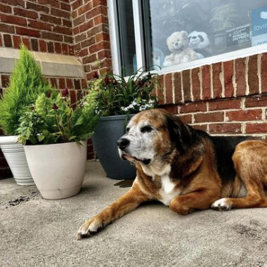 Desktop Gallery Entry 16