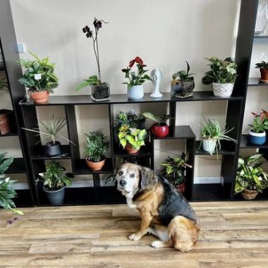 Desktop Gallery Entry 13