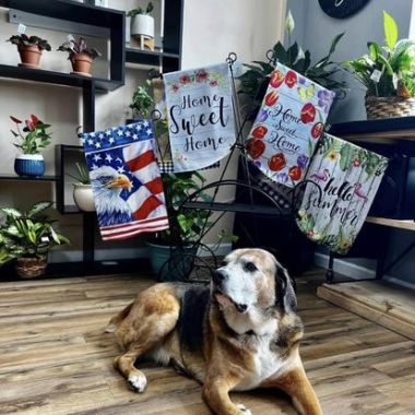 Desktop Gallery Entry 12