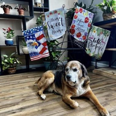 Desktop Gallery Entry 11