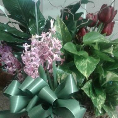 Desktop Gallery Entry 1