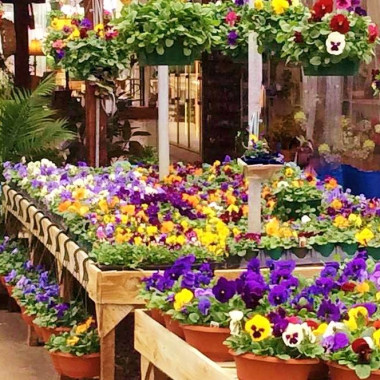 Desktop Gallery Entry 2