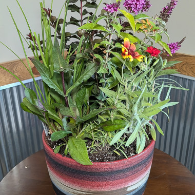 Desktop Gallery Entry 14