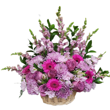 Desktop Gallery Entry 10