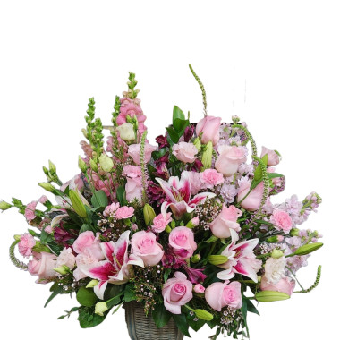 Desktop Gallery Entry 5