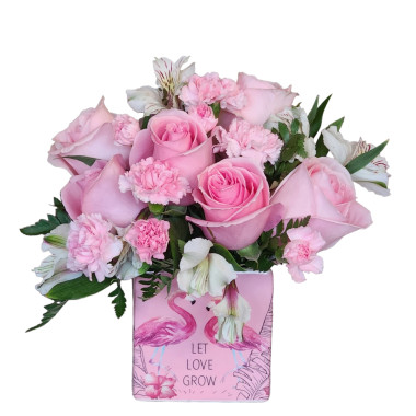 Desktop Gallery Entry 8