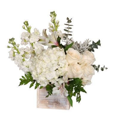 Desktop Gallery Entry 17