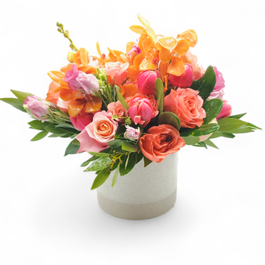 Desktop Gallery Entry 0