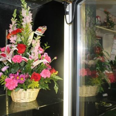 Desktop Gallery Entry 15