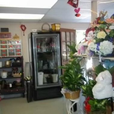 Desktop Gallery Entry 6