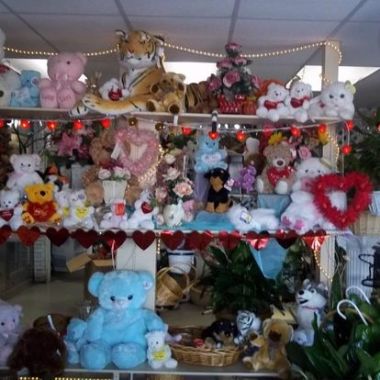 Desktop Gallery Entry 7