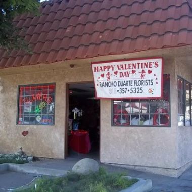 Desktop Gallery Entry 16