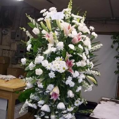 Desktop Gallery Entry 11