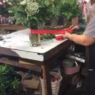 Desktop Gallery Entry 13