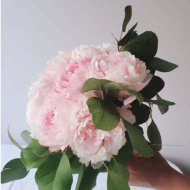 Desktop Gallery Entry 18