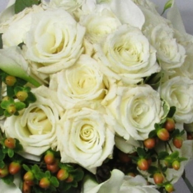 Desktop Gallery Entry 16