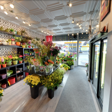 Desktop Gallery Entry 18