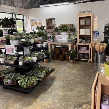 Desktop Gallery Entry 9