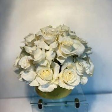 Desktop Gallery Entry 9