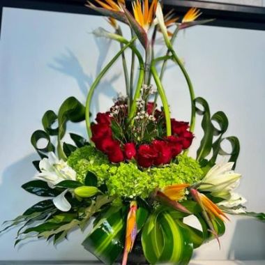 Desktop Gallery Entry 13