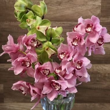 Desktop Gallery Entry 19