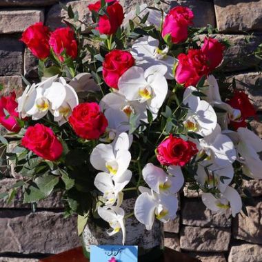 Desktop Gallery Entry 1