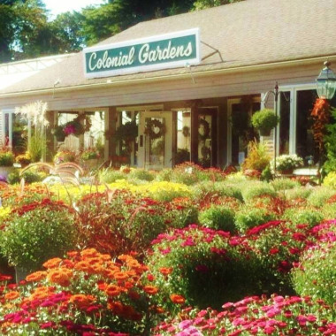 Desktop Gallery Entry 5