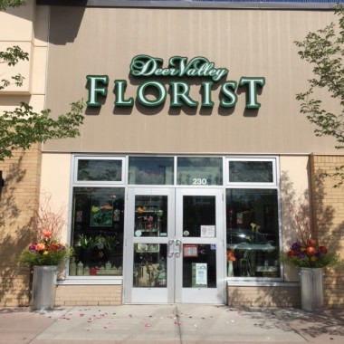 Desktop Gallery Entry 0