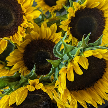 Desktop Gallery Entry 13