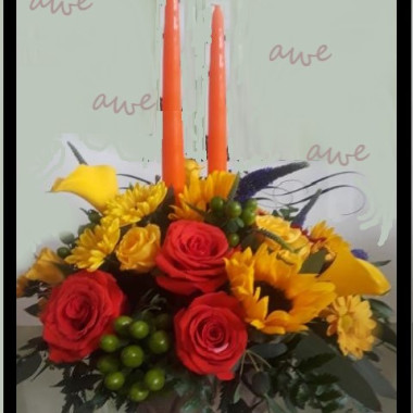 Desktop Gallery Entry 14